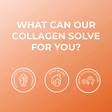 Vegan Plant Based Collagen Powder